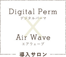 Digital Perm